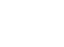 Deloitte 500